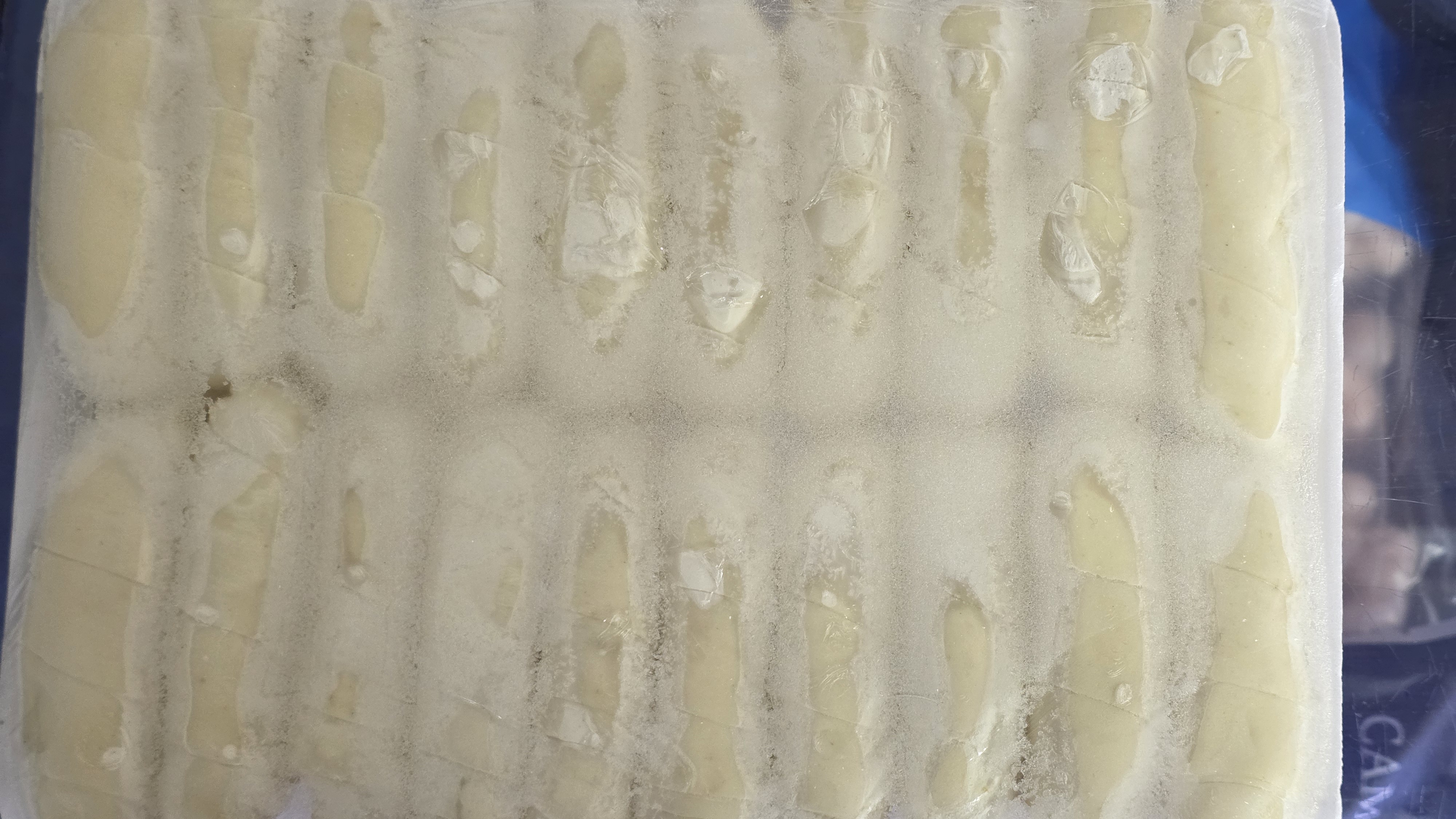 Tequeños 20 unidades - CONGELADOS